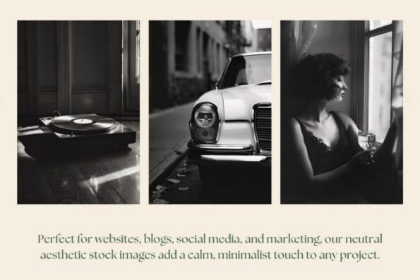 moody noir stock photos 5