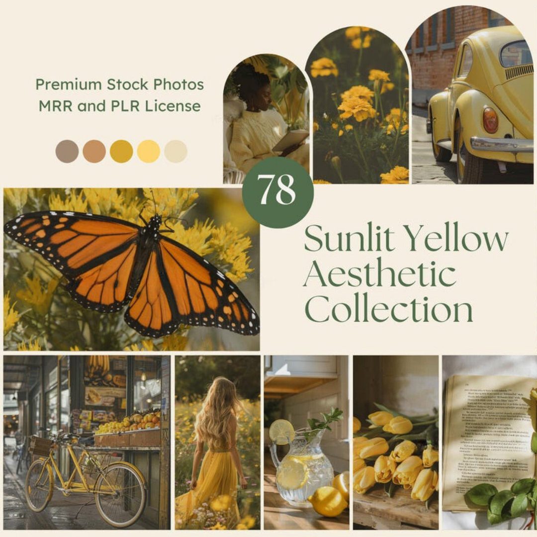 sunlit-yellow-stock-photos-1 sunlit yellow stock photos 1