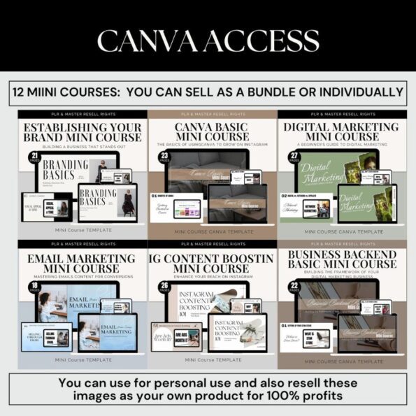 12 Mini Courses Digital Marketing Growth 5